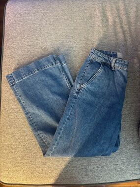 Everlane The Wide Leg Jeans Crop
